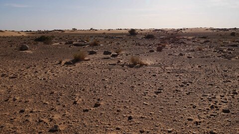 Mauritanie 2019, P1022529