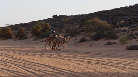 Mauritanie 2019, P1022532