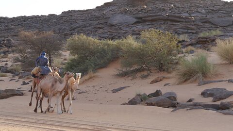 Mauritanie 2019, P1022533