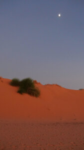 Mauritanie 2019, P1022550