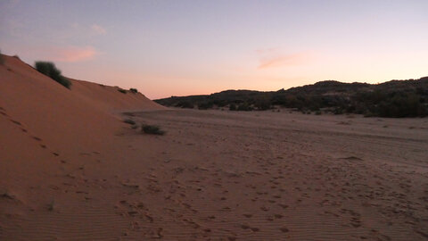 Mauritanie 2019, P1022551