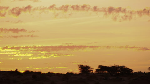 Mauritanie 2019, P1022555