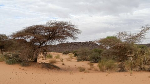 Mauritanie 2019, P1022569