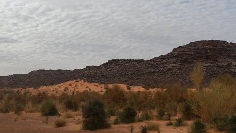 Mauritanie 2019, P1022574
