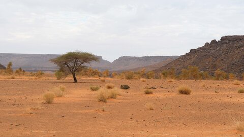 Mauritanie 2019, P1022575