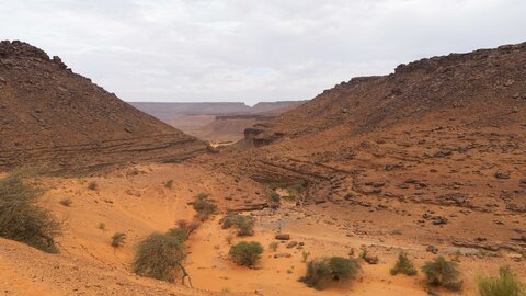 Mauritanie 2019, P1022576