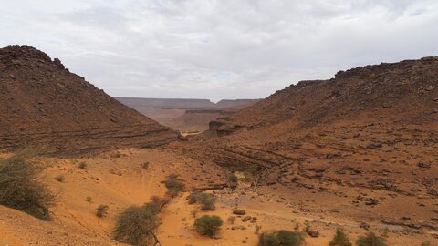 Mauritanie 2019, P1022577