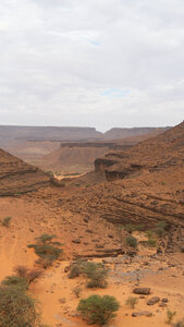 Mauritanie 2019, P1022578