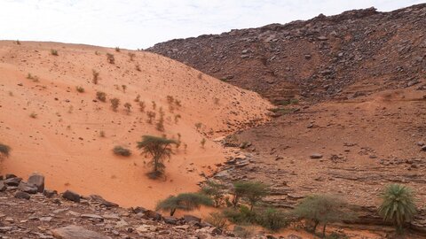 Mauritanie 2019, P1022582