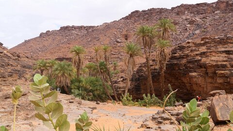 Mauritanie 2019, P1022583
