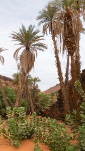 Mauritanie 2019, P1022584