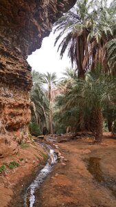 Mauritanie 2019, P1022594