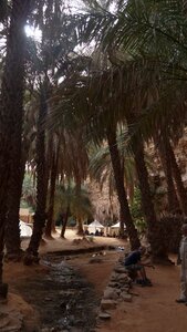Mauritanie 2019, P1022595