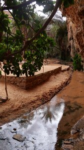 Mauritanie 2019, P1022596