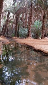 Mauritanie 2019, P1022597