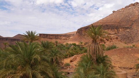 Mauritanie 2019, P1022608