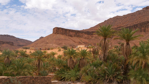 Mauritanie 2019, P1022610