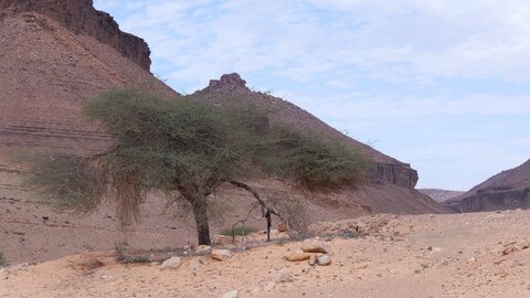Mauritanie 2019, P1022624