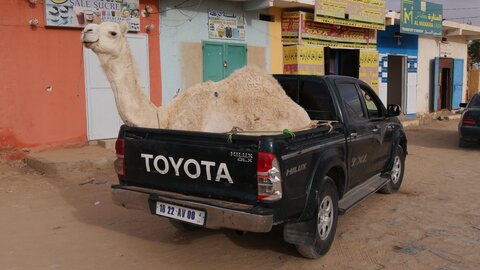 Mauritanie 2019, P1022631