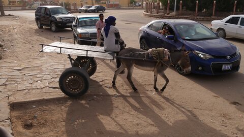 Mauritanie 2019, P1022633