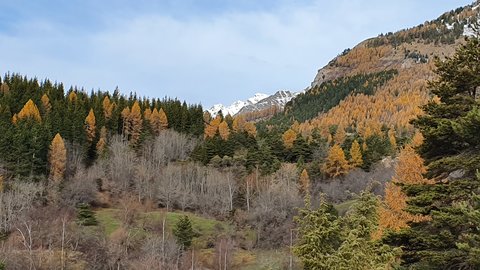 2019 11 26 Petit tour de Chaillol Catherine, 20191126_104648