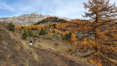 2019 11 26 Petit tour de Chaillol Catherine, 20191126_105132