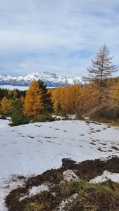 2019 11 26 Petit tour de Chaillol Catherine, 20191126_110705