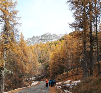 2019 11 26 Petit tour de Chaillol Monique, 012