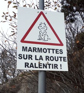 2019 11 26 Petit tour de Chaillol Monique, 017