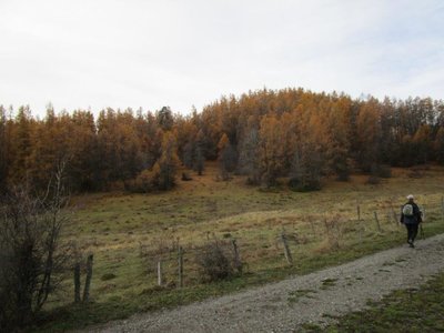 2019 11 26 Petit tour de Chaillol Patrick, IMG_3428