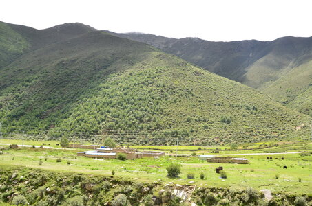 Tibet 2019 , J14-GDU_0070