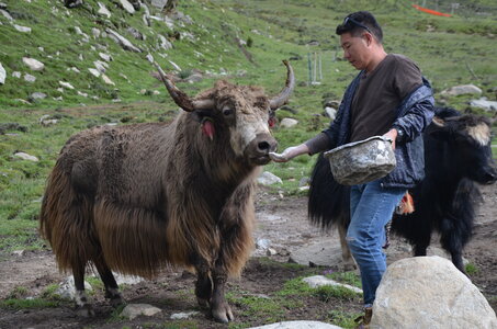 Tibet 2019 , J15-GDU_0281