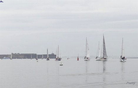 Régate de l'Arrêt'O Port, Piwisy CNML EH  2019-11-24-003