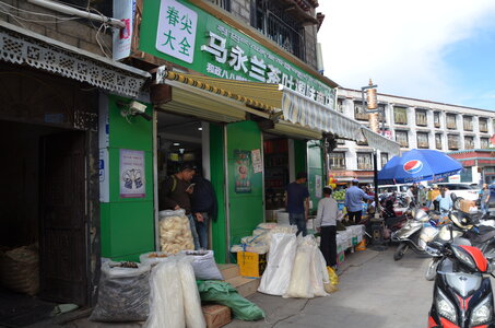 Tibet 2019 , J17_GDU_0485
