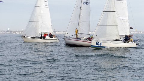 Régate de l'Arrêt'O Port, Piwisy CNML EH  2019-11-24-021