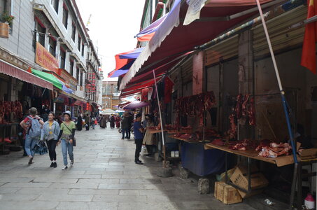 Tibet 2019 , J18_GDU_0603