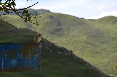 Tibet 2019 , J19_GDU_0655