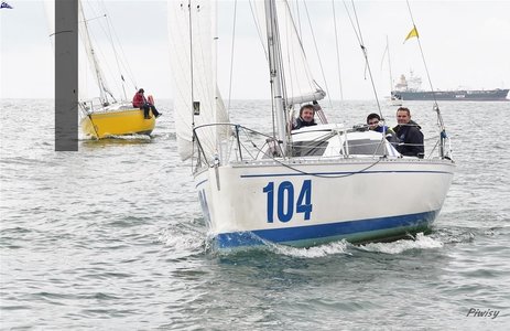 Régate de l'Arrêt'O Port, Piwisy CNML EH  2019-11-24-047