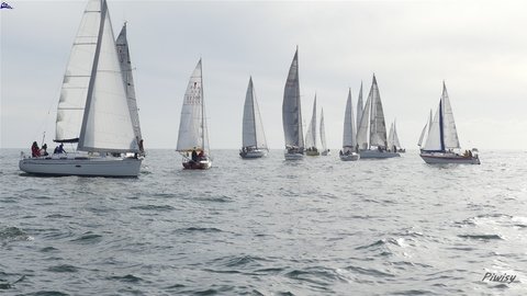 Régate de l'Arrêt'O Port, Piwisy CNML EH  2019-11-24-063