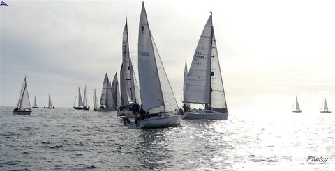 Régate de l'Arrêt'O Port, Piwisy CNML EH  2019-11-24-065