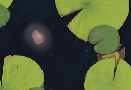 behii, Hidden