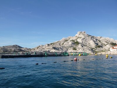 Iles du Frioul_28 dec 2019, Iles Frioul_28decembre20190033