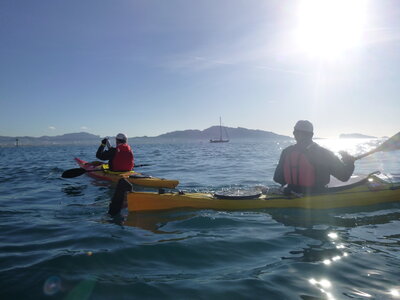 Iles du Frioul_28 dec 2019, P1000917