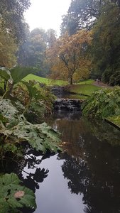 Paysages, 20191030_151001