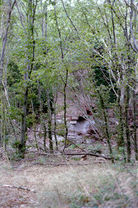 2004-1 randonnées, 20040718-003 Rand 18 _ chateau de turquenstein _ 18 juil 04