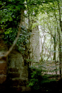 2004-1 randonnées, 20040718-004 Rand 18 _ chateau de turquenstein _ 18 juil 04
