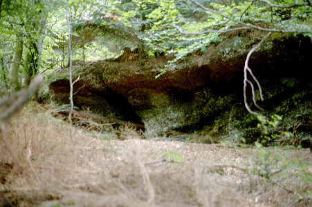 2004-1 randonnées, 20040718-010 Rand 18 _ le grand rougimont _ 18 juil 04