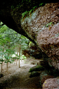 2004-1 randonnées, 20040718-011 Rand 18 _ le grand rougimont _ 18 juil 04