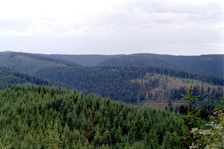 2004-1 randonnées, 20040718-015 Rand 18 _ vue depuis le grand rougimont _ 18 juil 04