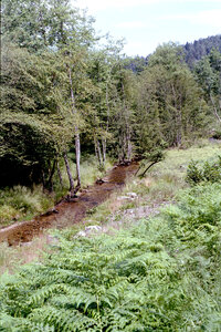 2004-1 randonnées, 20040718-018 Rand 18 _ la sarre blanche _ 18 juil 04